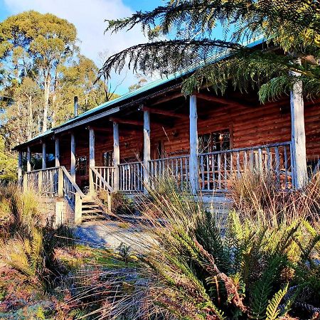 Lemonthyme Wilderness Retreat Otel Moina Dış mekan fotoğraf