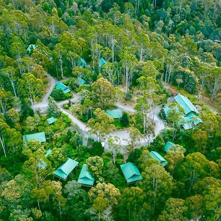 Lemonthyme Wilderness Retreat Otel Moina Dış mekan fotoğraf