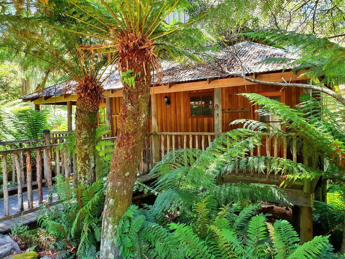 Lemonthyme Wilderness Retreat Otel Moina Dış mekan fotoğraf