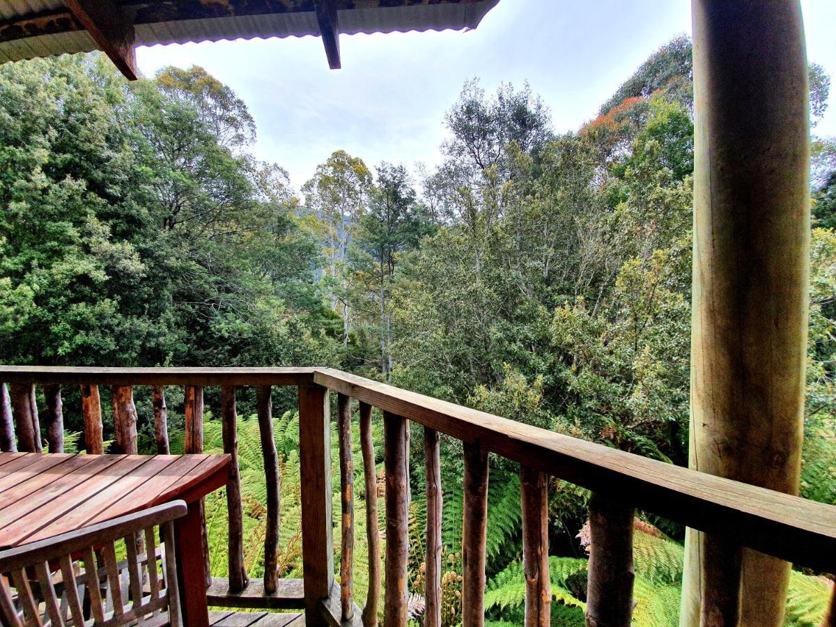 Lemonthyme Wilderness Retreat Otel Moina Dış mekan fotoğraf