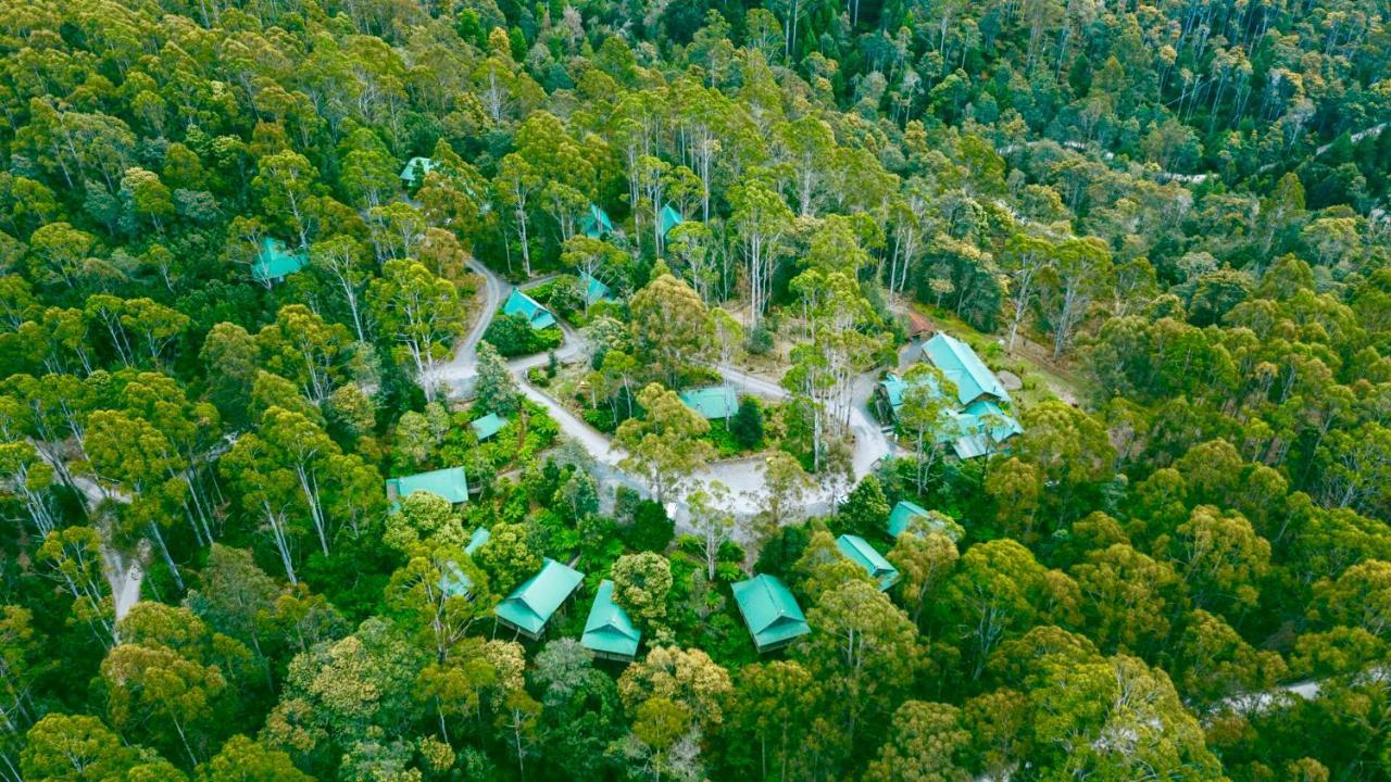 Lemonthyme Wilderness Retreat Otel Moina Dış mekan fotoğraf