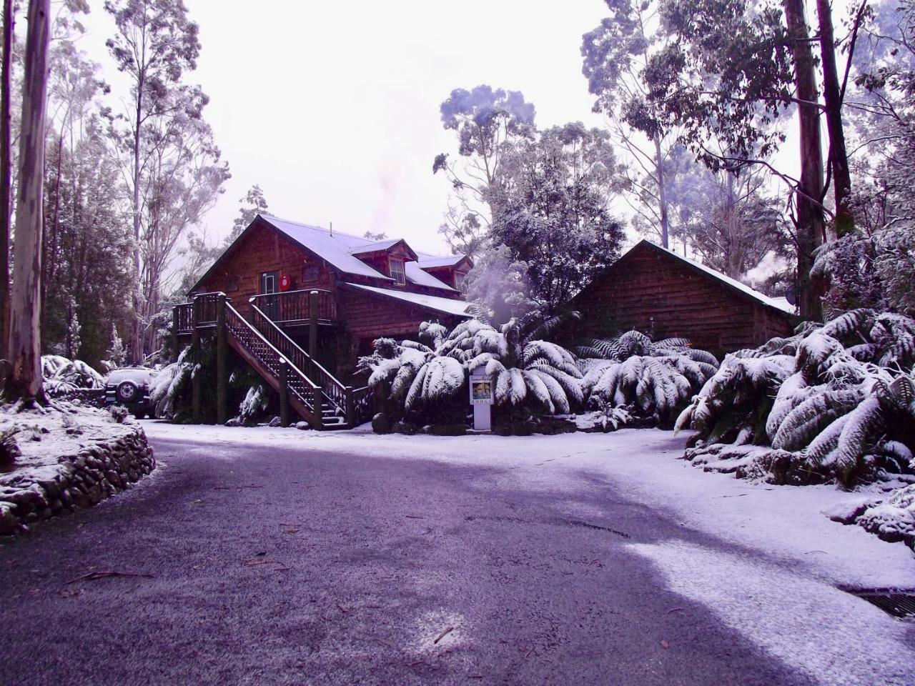 Lemonthyme Wilderness Retreat Otel Moina Dış mekan fotoğraf